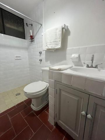 Depa Nogal, Centro Villa San Miguel de Allende Luaran gambar